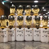 Karuizawa Hanshin Tigers Baseball Team 2003 輕井澤 阪神虎 2003 優勝戰士達套組 (360ml*12 37%)