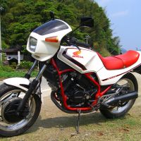 250cc的競爭年代~RZ250 vs VT250F