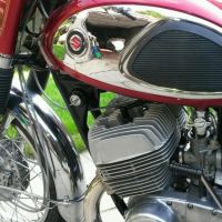 1968 SUZUKI T500