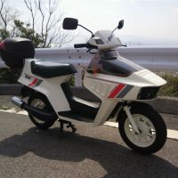 HONDA ビート BEAT 50
